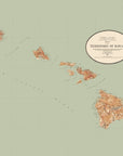 Hawaiian Islands vintage map - Quick Dry Towel