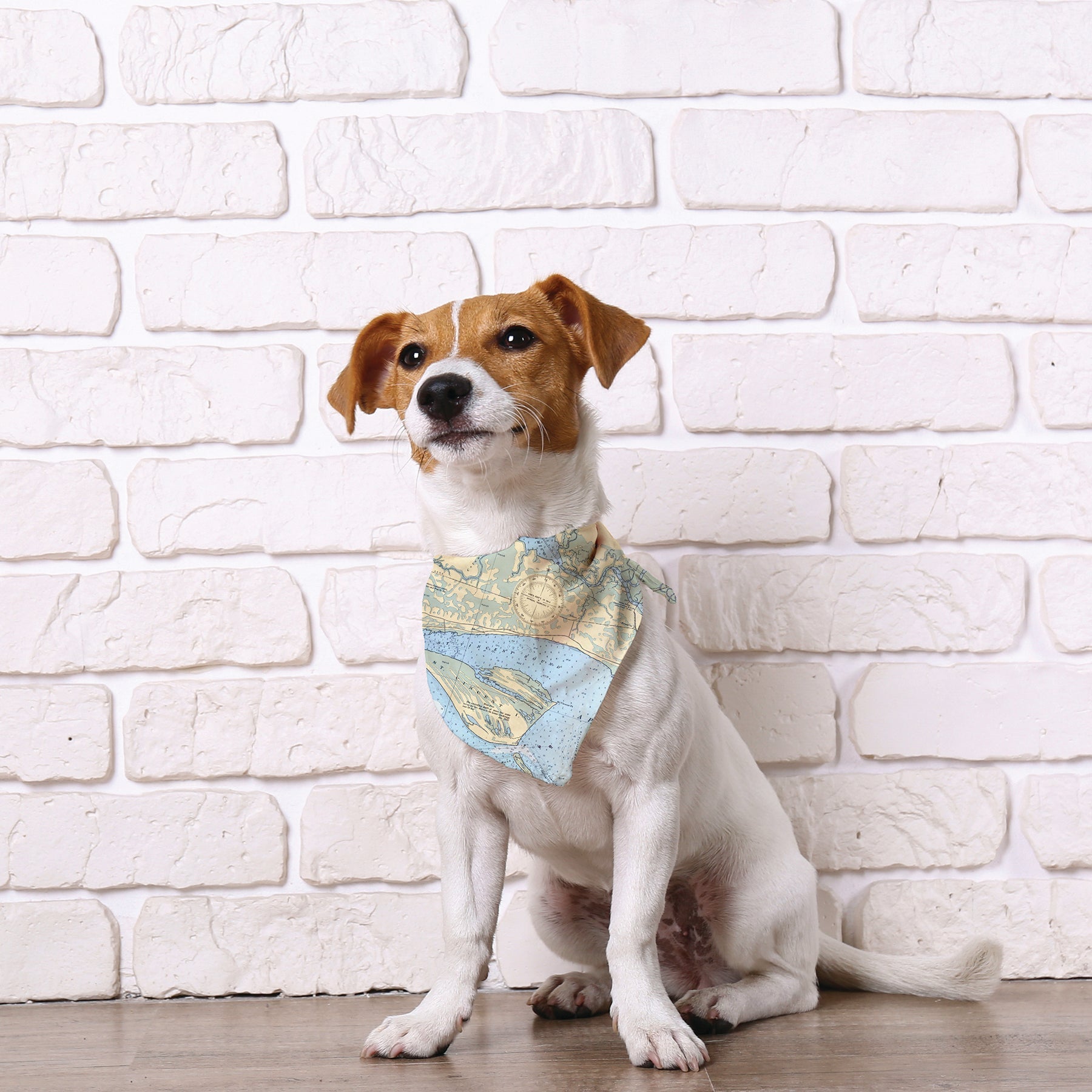 Pet Products - Locally Inspired!
