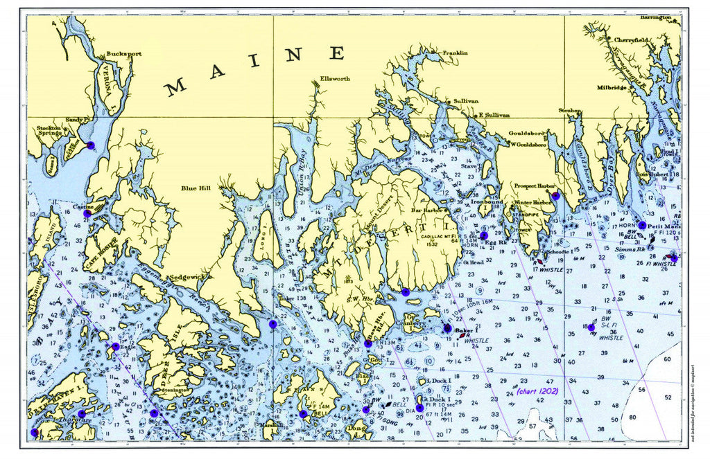 Blue_Hill_to_Winter_Harbor_Single_Placemat