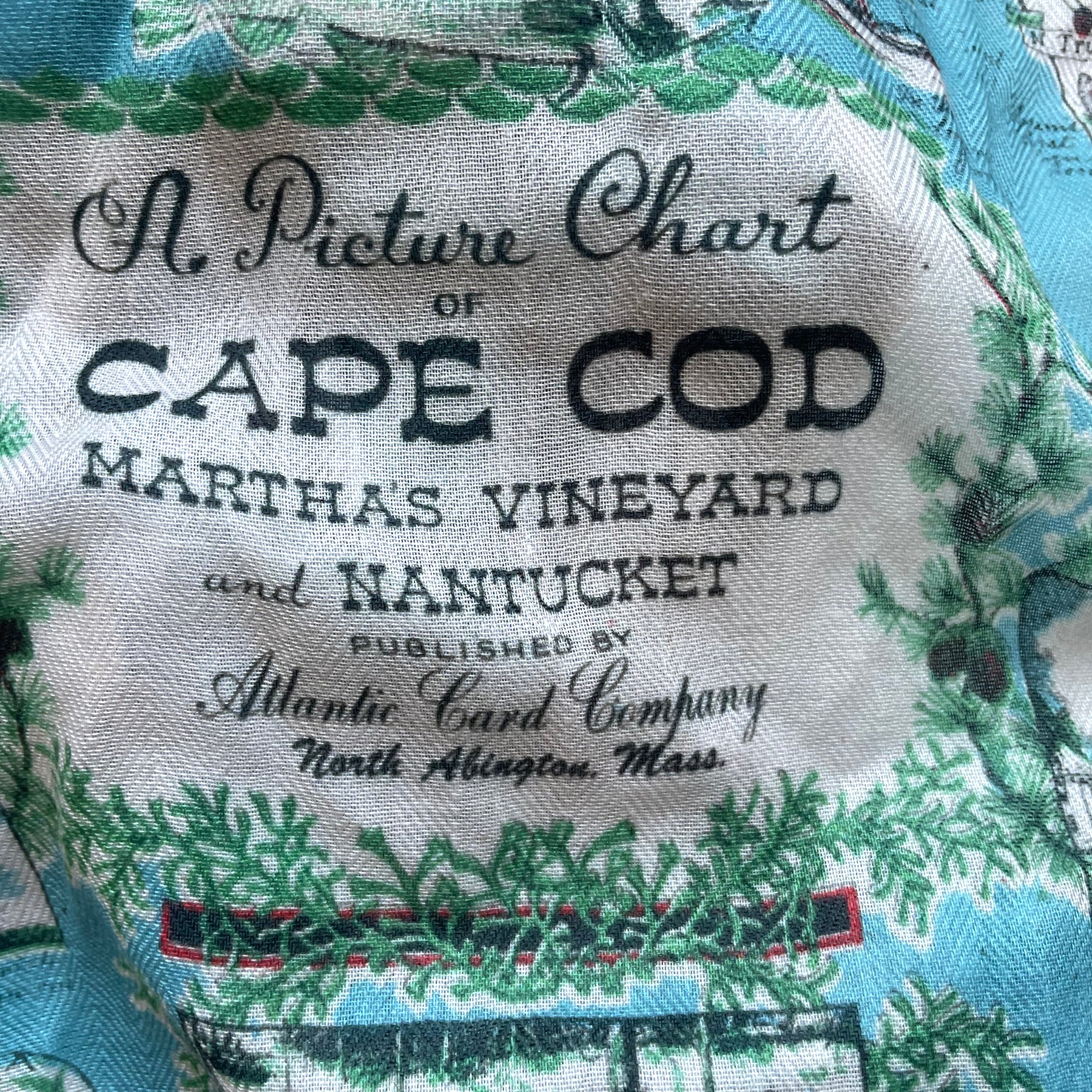 Cape Cod & The Islands, Vintage Pictorial Map Scarf