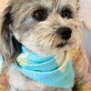 Bandana (a.k.a. Dogdana) - Wholesale Doggie Bandana