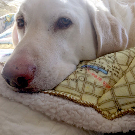 Dog Blanket Wholesale