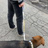Dog Leash Wholesale