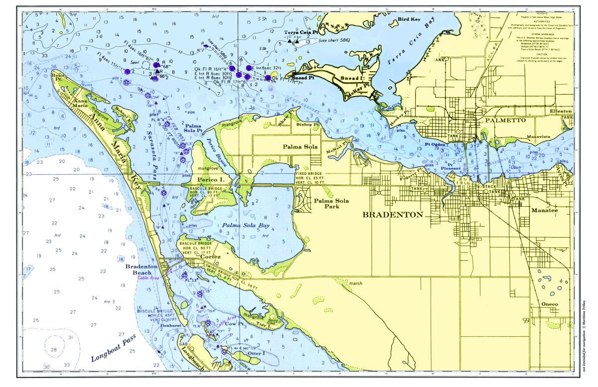 Anna Maria Island, Florida Chart Placemat - Maritime Tribes USALaminated Placemat
