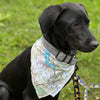 Bandana (a.k.a. Dogdana) - Wholesale Doggie Bandana - Maritime Tribes USA