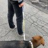 Dog Leash Wholesale - Maritime Tribes USA