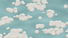 Bangor ME Topo Blanket