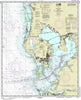 Tampa Bay and St. Joseph Sound - 2018 Scroll